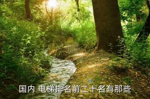北京電梯自動化設(shè)備選哪家,電梯升降器制造 自動化設(shè)備