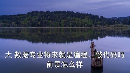 大 數(shù)據(jù)專業(yè)將來就是編程、敲代碼嗎前景怎么樣