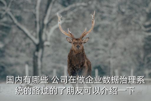 國內(nèi)有哪些 公司在做企業(yè)數(shù)據(jù)治理系統(tǒng)的路過的了朋友可以介紹一下