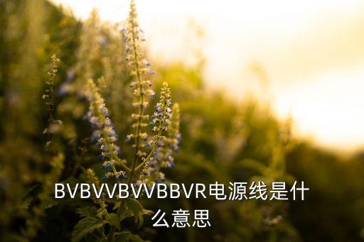 BVBVVBVVBBVR電源線是什么意思