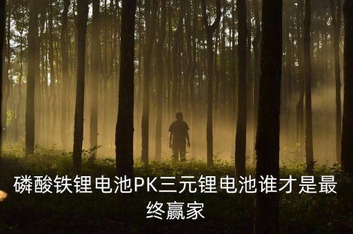 磷酸鐵鋰電池PK三元鋰電池誰(shuí)才是最終贏家