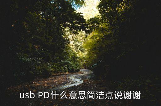 pd充電什么意思，pd指的是什么與車有關(guān)的
