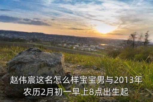 趙偉宸這名怎么樣寶寶男與2013年農(nóng)歷2月初一早上8點出生起