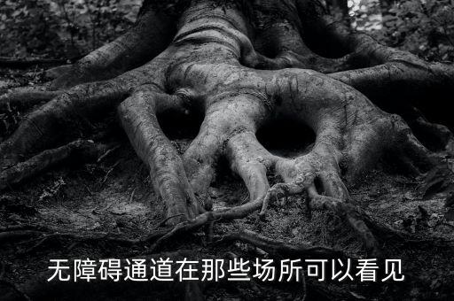 無(wú)障礙通道在那些場(chǎng)所可以看見(jiàn)