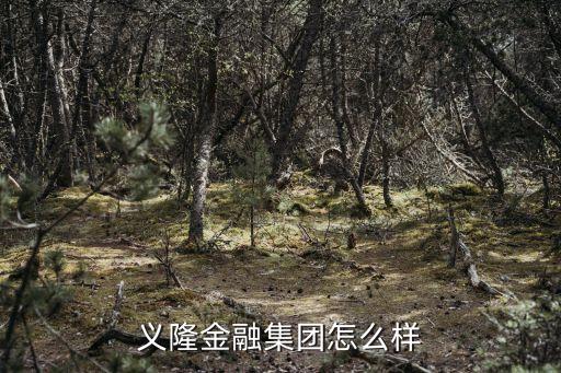義隆，義隆金融這是什么公司