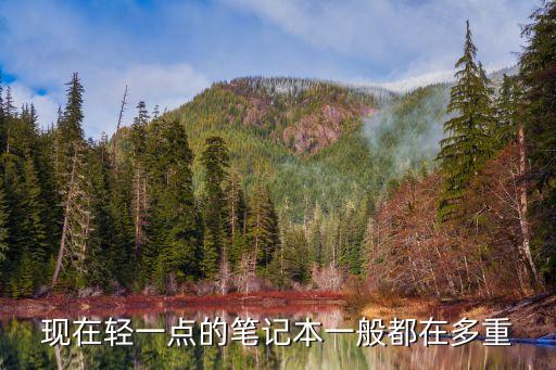 現(xiàn)在輕一點的筆記本一般都在多重