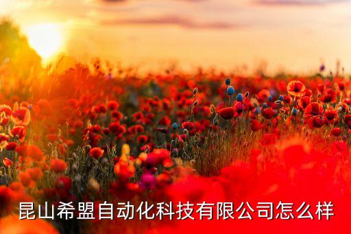 昆山希盟自動化科技有限公司怎么樣