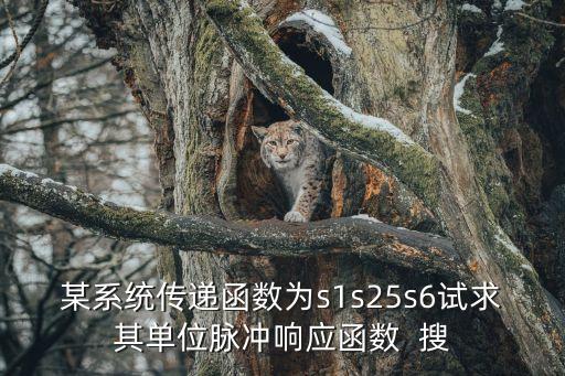 某系統(tǒng)傳遞函數(shù)為s1s25s6試求其單位脈沖響應(yīng)函數(shù)  搜
