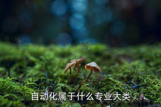 自動(dòng)化屬于什么專業(yè)大類