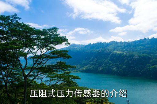 壓阻式壓力傳感器的介紹