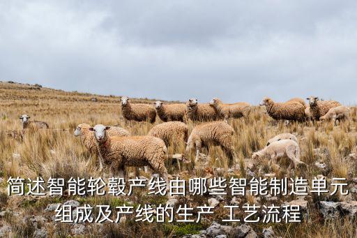 自動(dòng)化設(shè)備組裝工藝流程圖紙,組裝半導(dǎo)體設(shè)備工藝流程