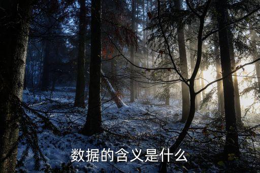 數(shù)據(jù)的含義是什么