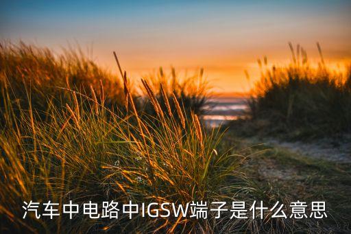 汽車中電路中IGSW端子是什么意思