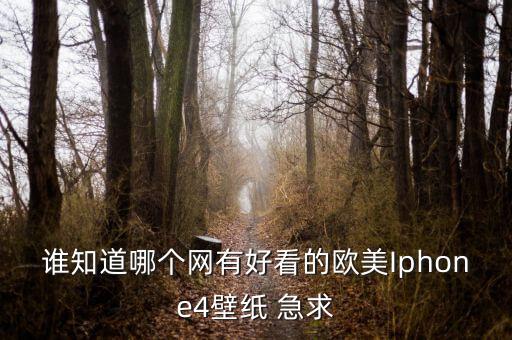 誰知道哪個(gè)網(wǎng)有好看的歐美Iphone4壁紙 急求