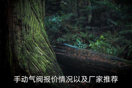 手動氣閥報價情況以及廠家推薦