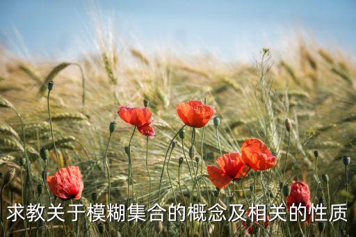 求教關(guān)于模糊集合的概念及相關(guān)的性質(zhì)