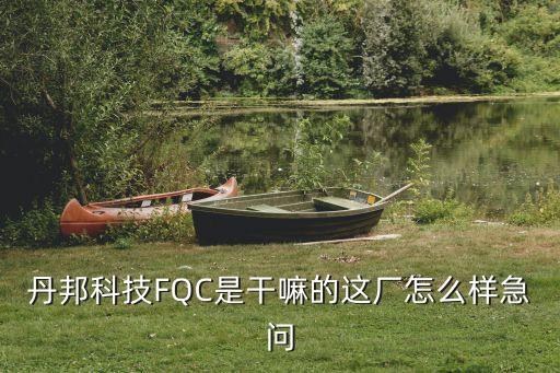 丹邦科技FQC是干嘛的這廠怎么樣急問