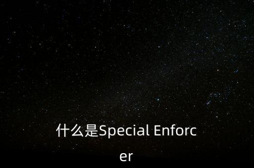 什么是Special Enforcer