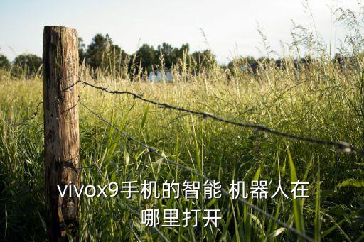  vivox9手機(jī)的智能 機(jī)器人在哪里打開(kāi)