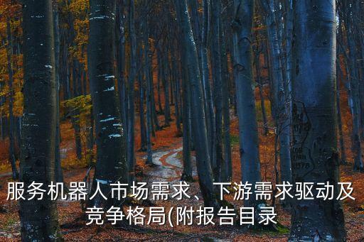 服務(wù)機器人市場需求、下游需求驅(qū)動及競爭格局(附報告目錄