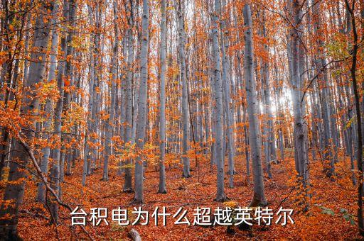 臺(tái)積電為什么超越英特爾