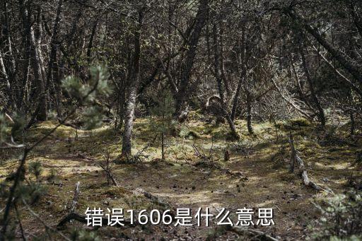 1606，錯誤1606是什么意思