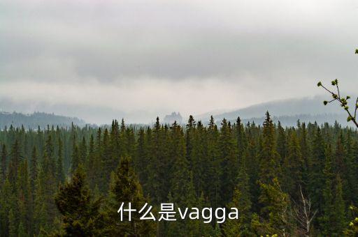 什么是vagga