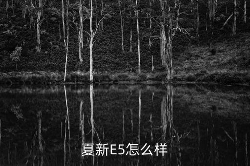 夏新E5怎么樣
