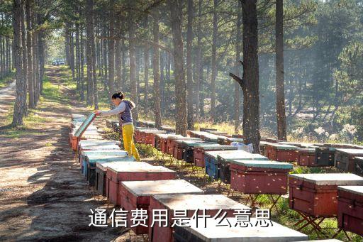 通信費用是什么意思