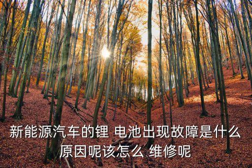 新能源汽車的鋰 電池出現(xiàn)故障是什么原因呢該怎么 維修呢