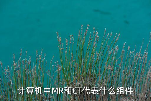 計算機中MR和CT代表什么組件