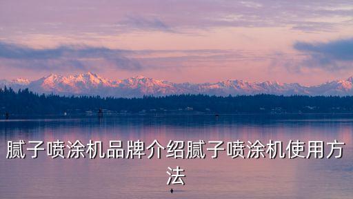 膩?zhàn)訃娡繖C(jī)品牌介紹膩?zhàn)訃娡繖C(jī)使用方法