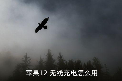  蘋果12 無線充電怎么用