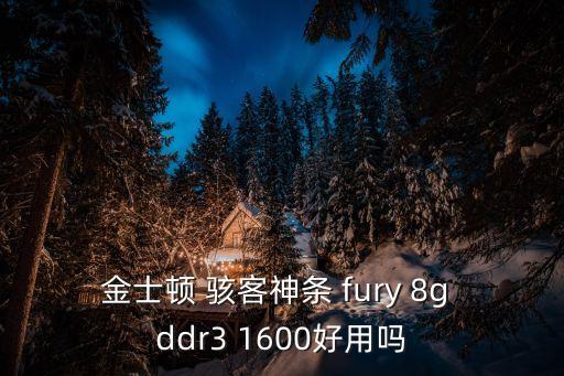 金士頓 駭客神條 fury 8g ddr3 1600好用嗎