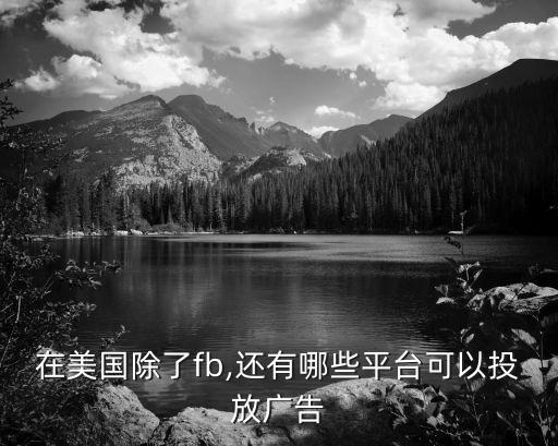 在美國(guó)除了fb,還有哪些平臺(tái)可以投放廣告