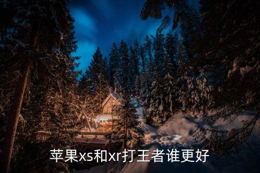 xs和xr哪個(gè)好，蘋果xs和xr打王者誰更好