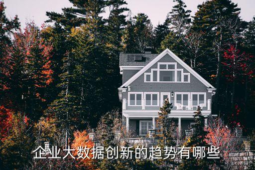 企業(yè)大數(shù)據(jù)創(chuàng)新的趨勢有哪些