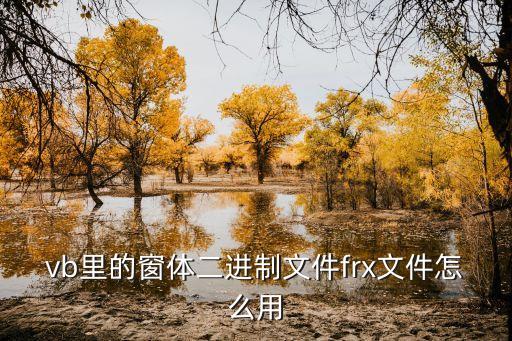 frx，vb里的窗體二進(jìn)制文件frx文件怎么用