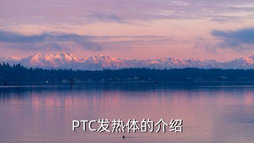 發(fā)熱體，PTC發(fā)熱體的介紹