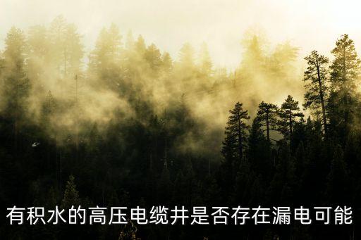 電力造價論壇，誰能知道那有神機妙算定額庫