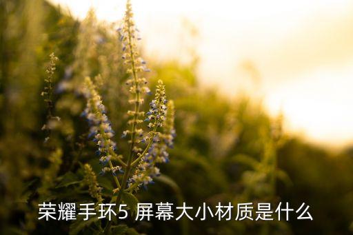 榮耀手環(huán)5，榮耀5手環(huán)怎么控制音樂