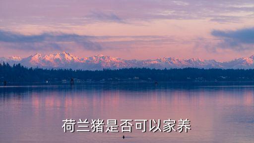 成都豬豬自動(dòng)化設(shè)備,成都自動(dòng)化設(shè)備有限公司排名