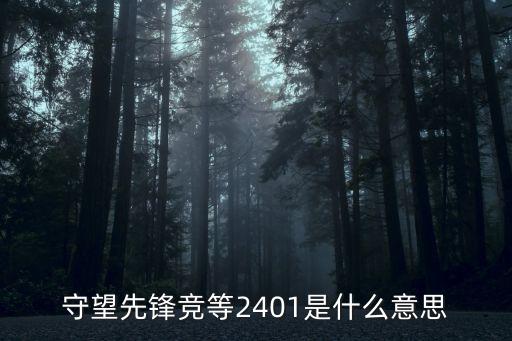 守望先鋒競等2401是什么意思