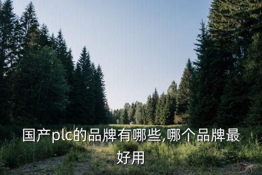 國產(chǎn)plc的品牌有哪些,哪個品牌最好用