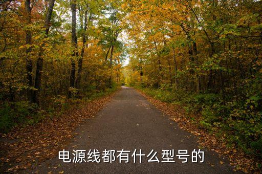 電源線都有什么型號(hào)的