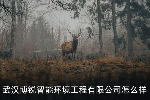 武漢博銳智能環(huán)境工程有限公司怎么樣