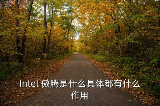 Intel 傲騰是什么具體都有什么作用