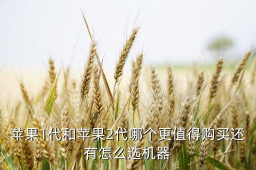 蘋果1，蘋果里面含有什么