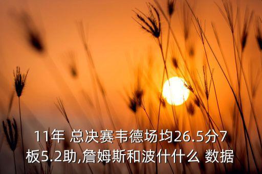 11年 總決賽韋德場均26.5分7板5.2助,詹姆斯和波什什么 數(shù)據(jù)