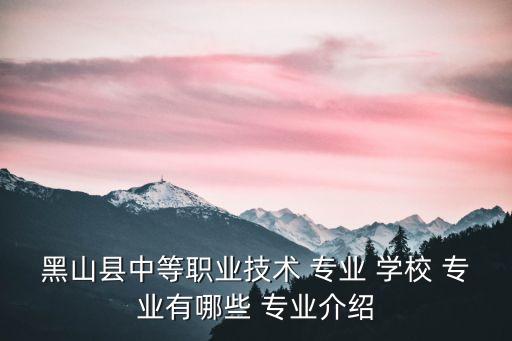 黑山縣中等職業(yè)技術(shù) 專業(yè) 學(xué)校 專業(yè)有哪些 專業(yè)介紹